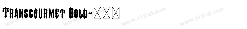 Transgourmet Bold字体转换